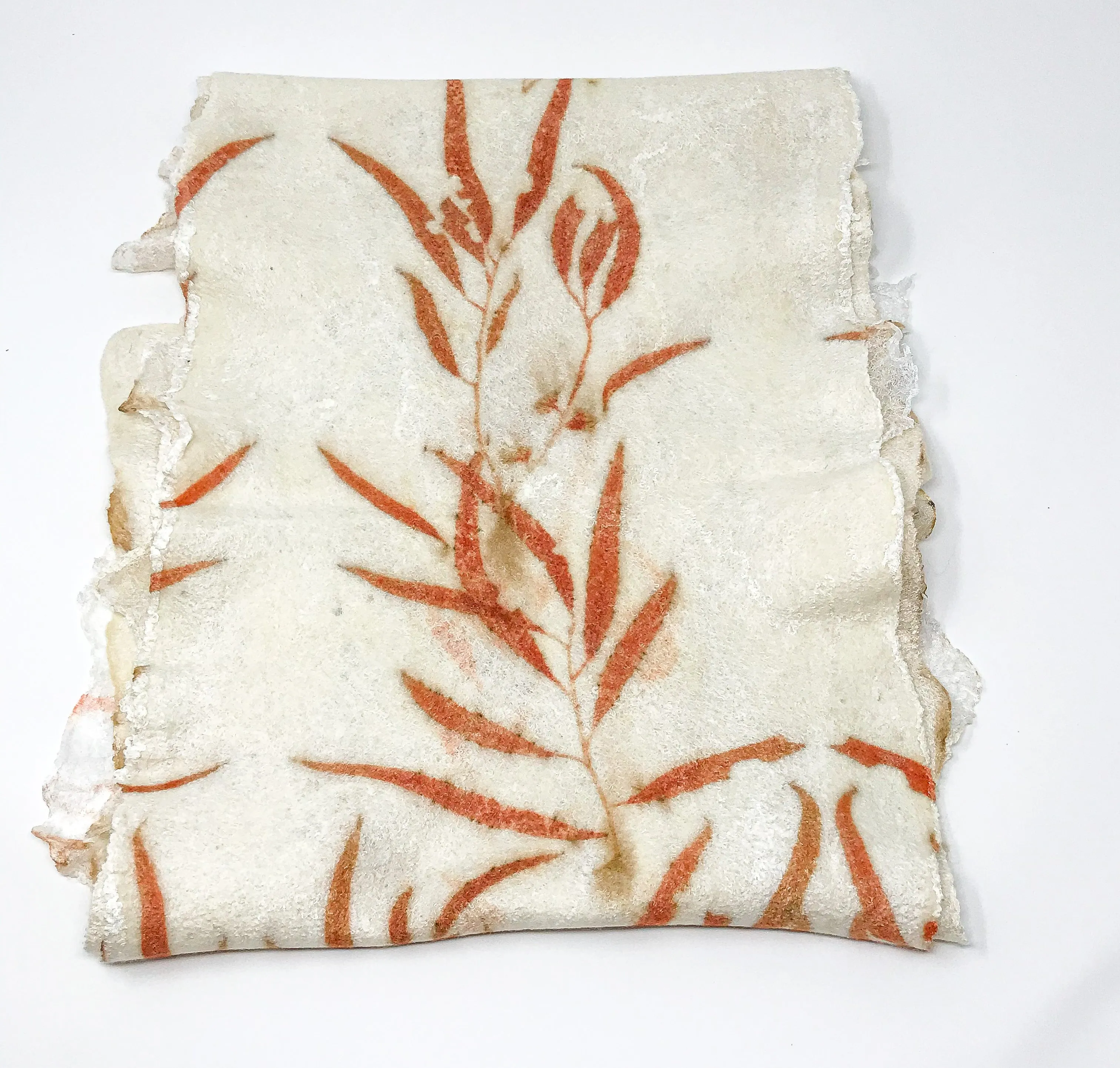 White Handmade Felted Scarf with Eco print for Women